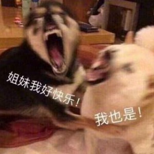 用户头像