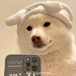 用户头像