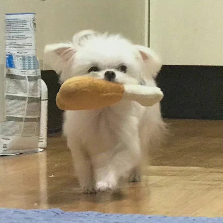 用户头像