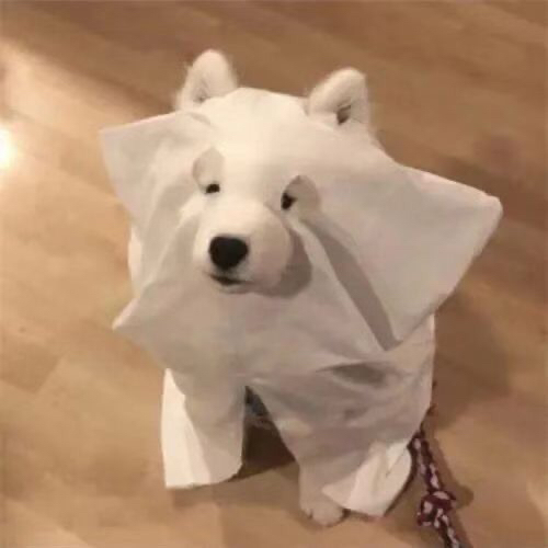 用户头像