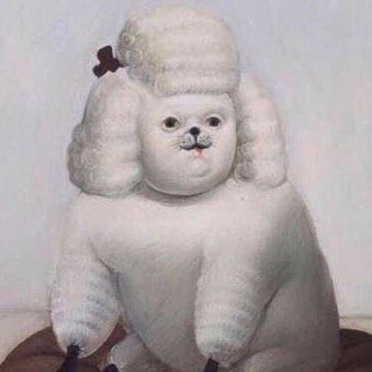 用户头像