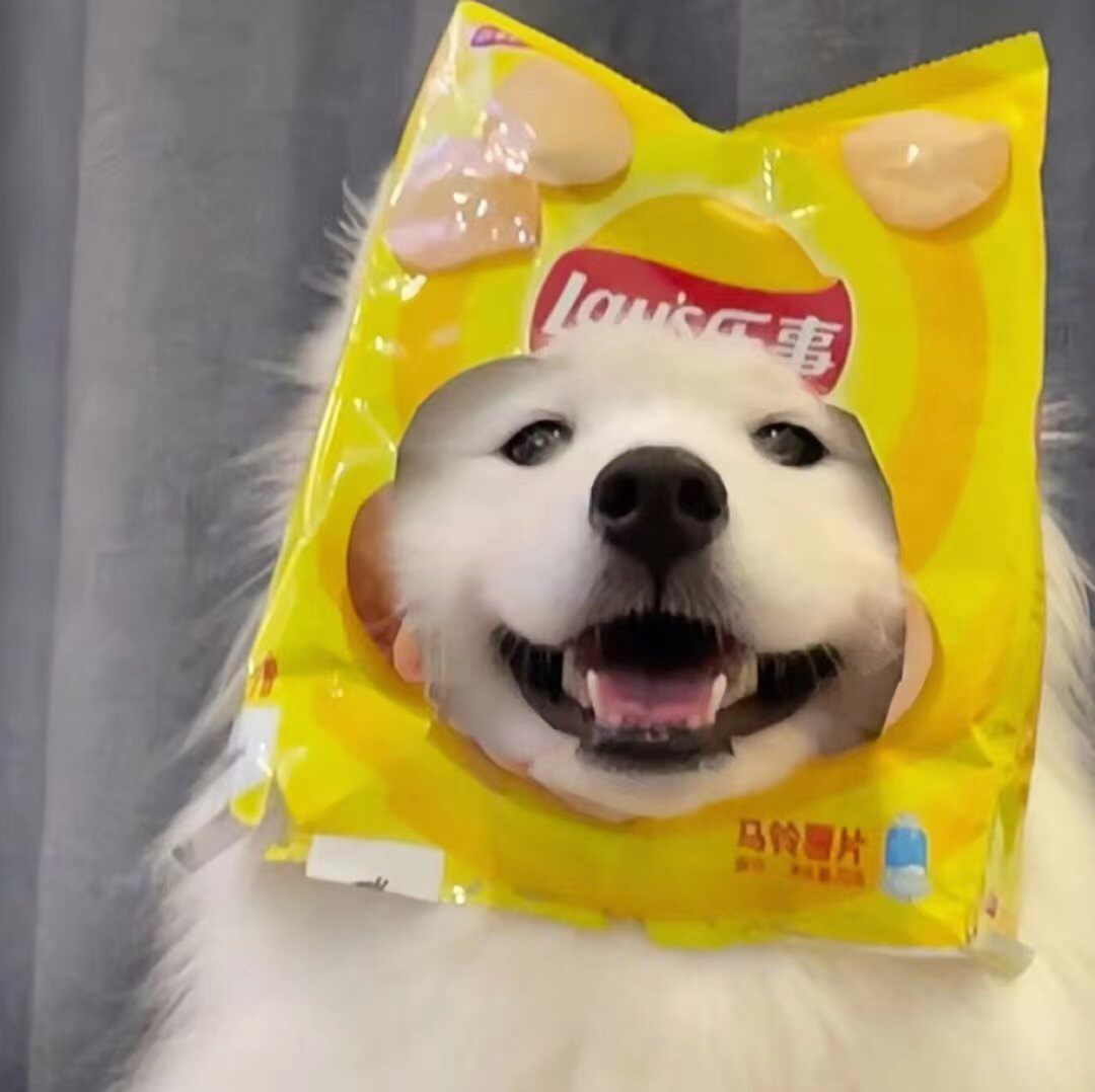 用户头像