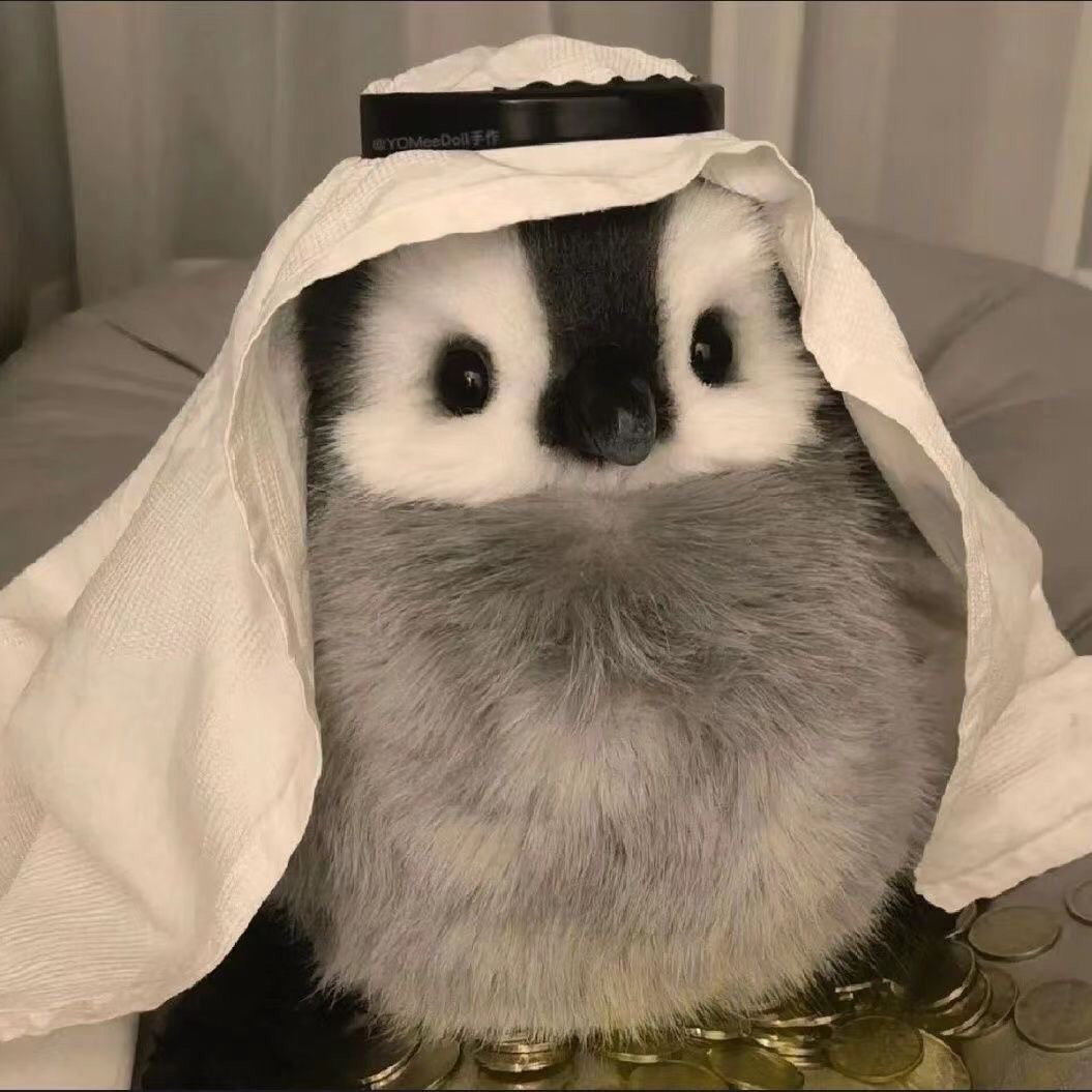 用户头像