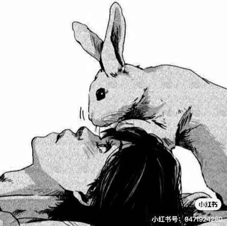 用户头像