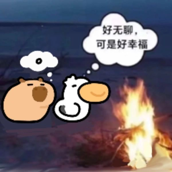 用户头像