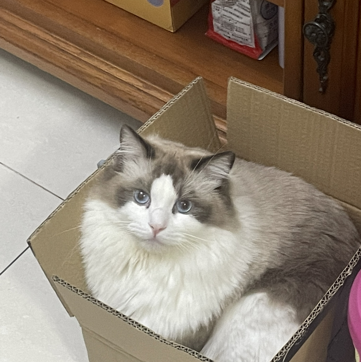 用户头像