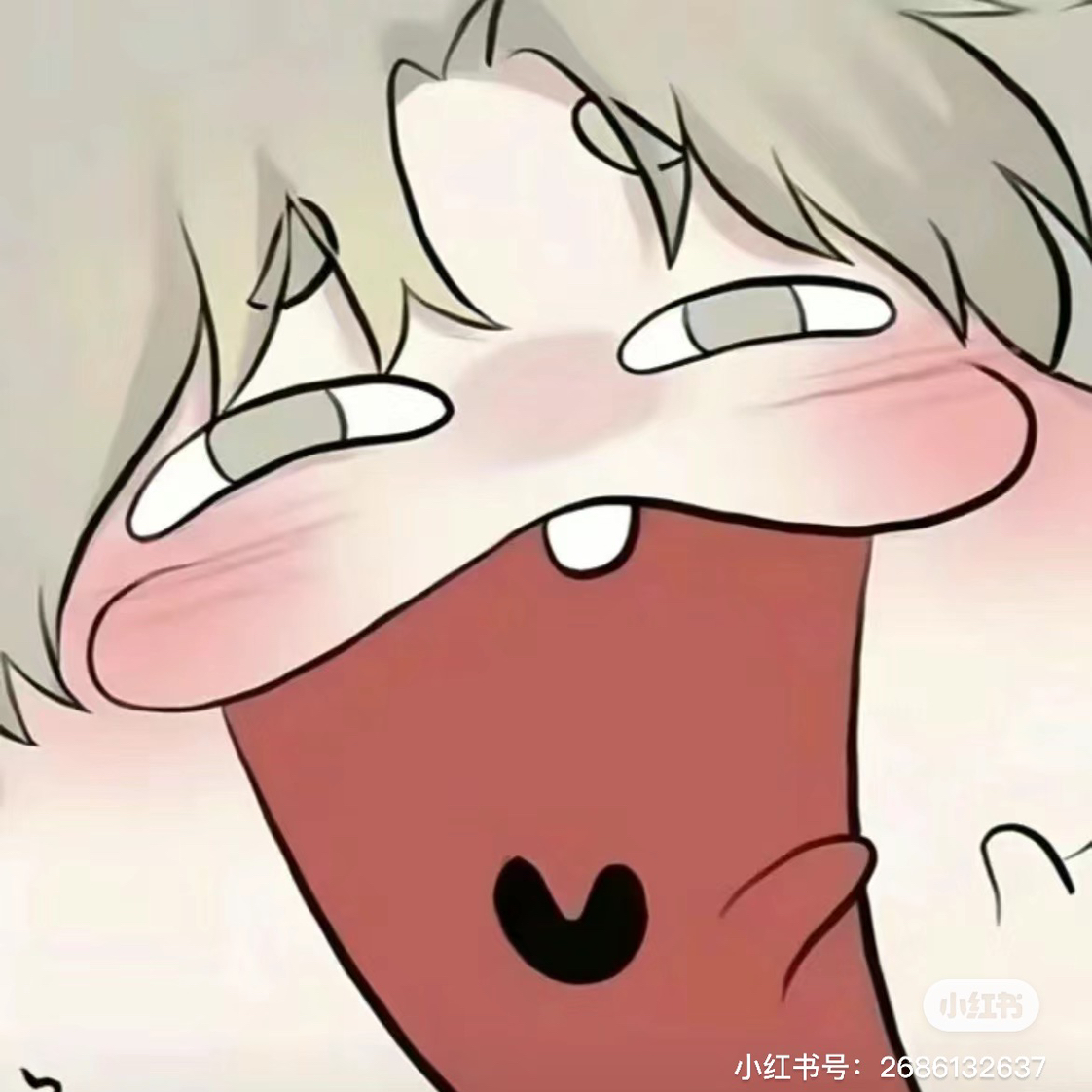 用户头像
