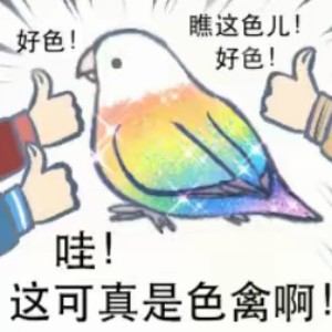 用户头像