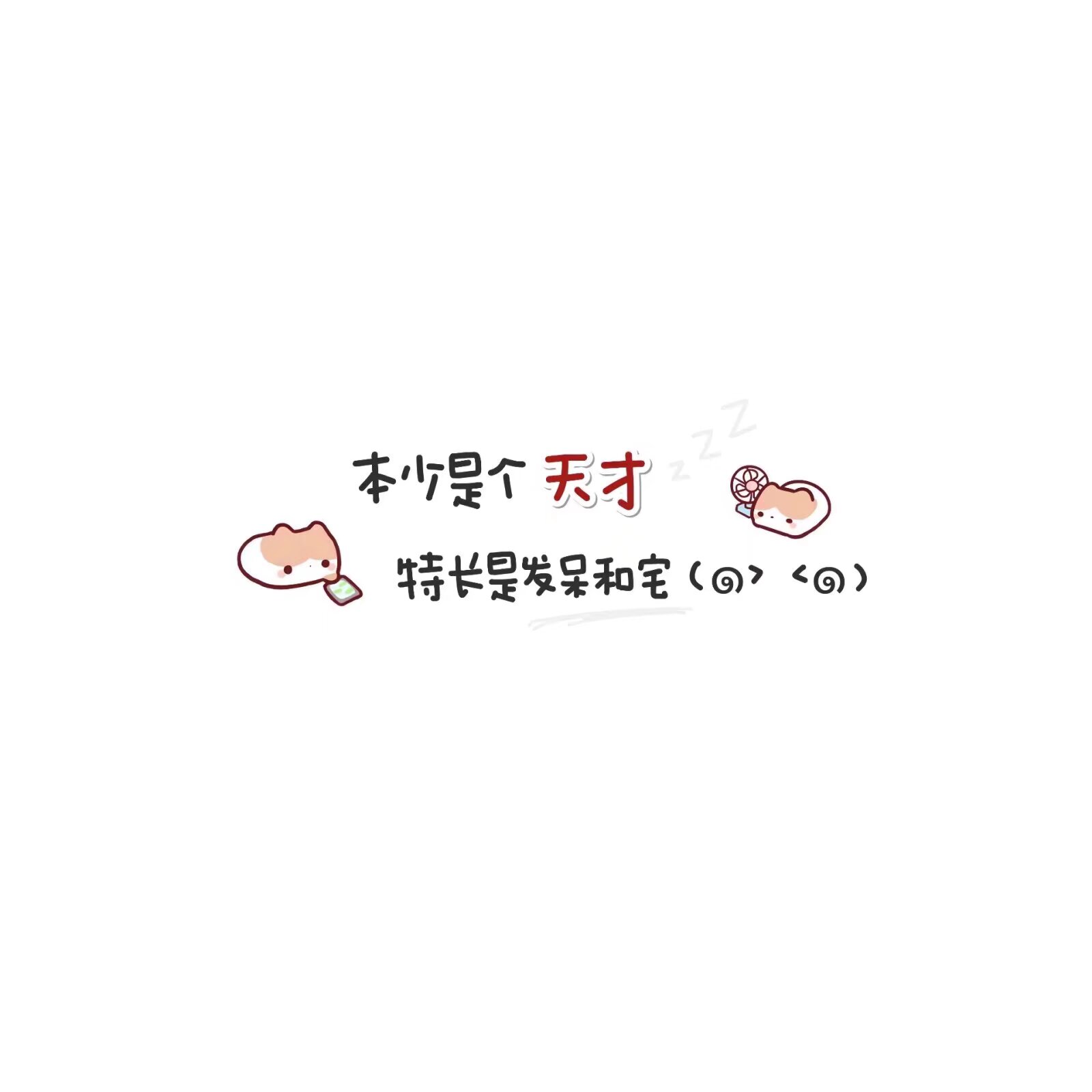 用户头像