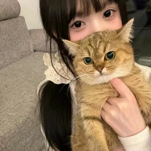 用户头像