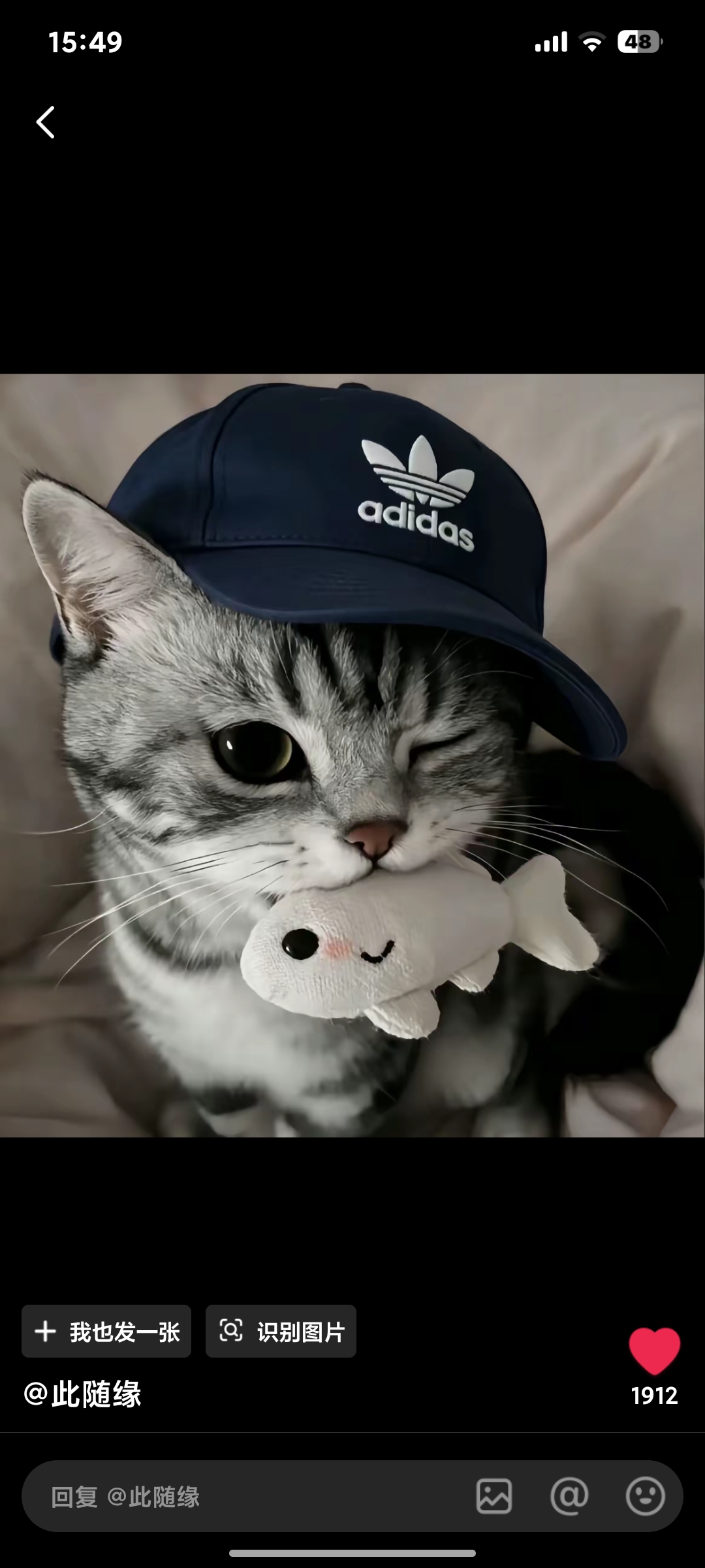 用户头像