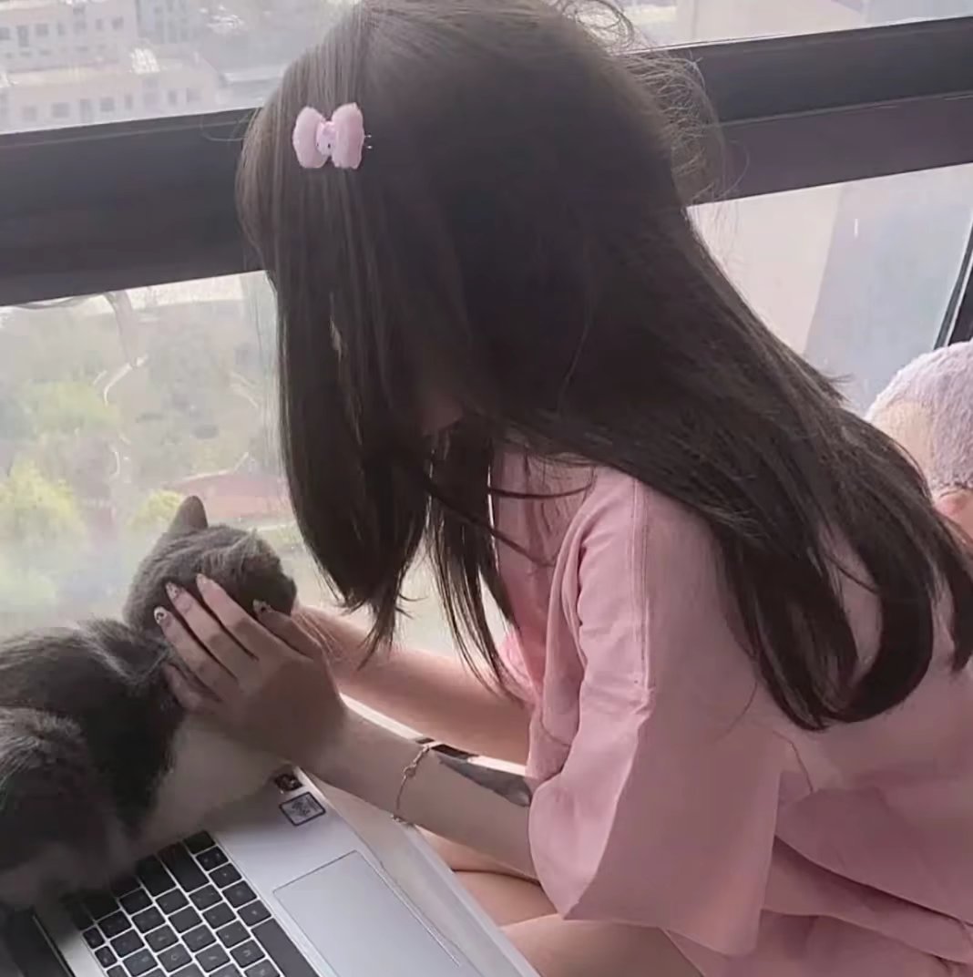 用户头像