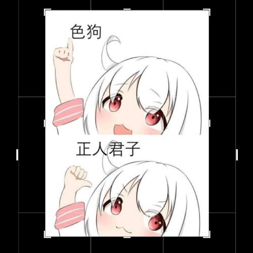用户头像
