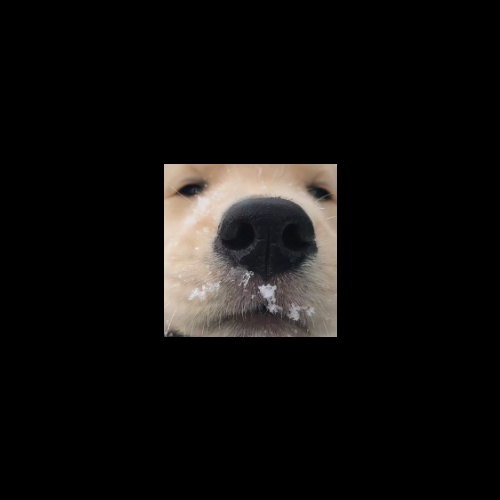 用户头像