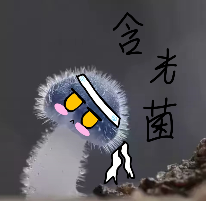 用户头像