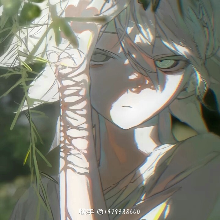 用户头像