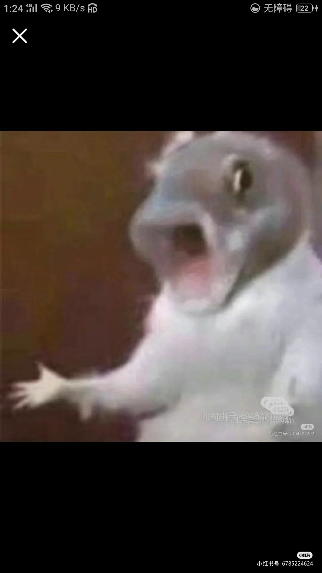 用户头像