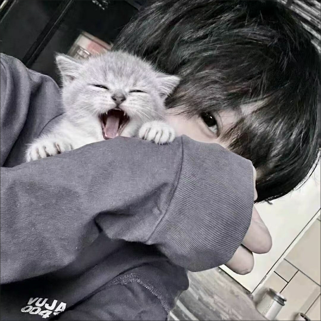 用户头像