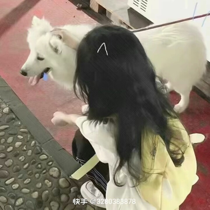 用户头像