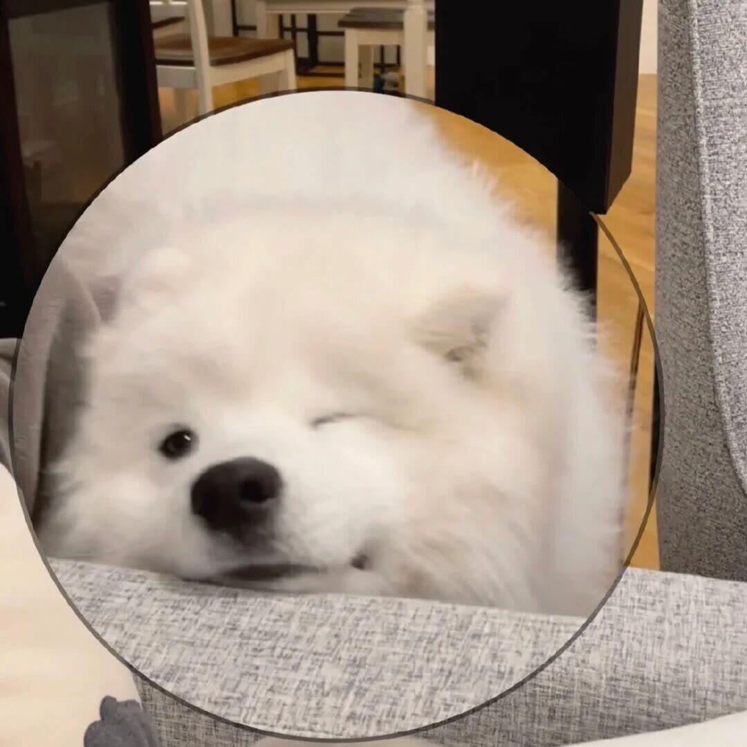用户头像