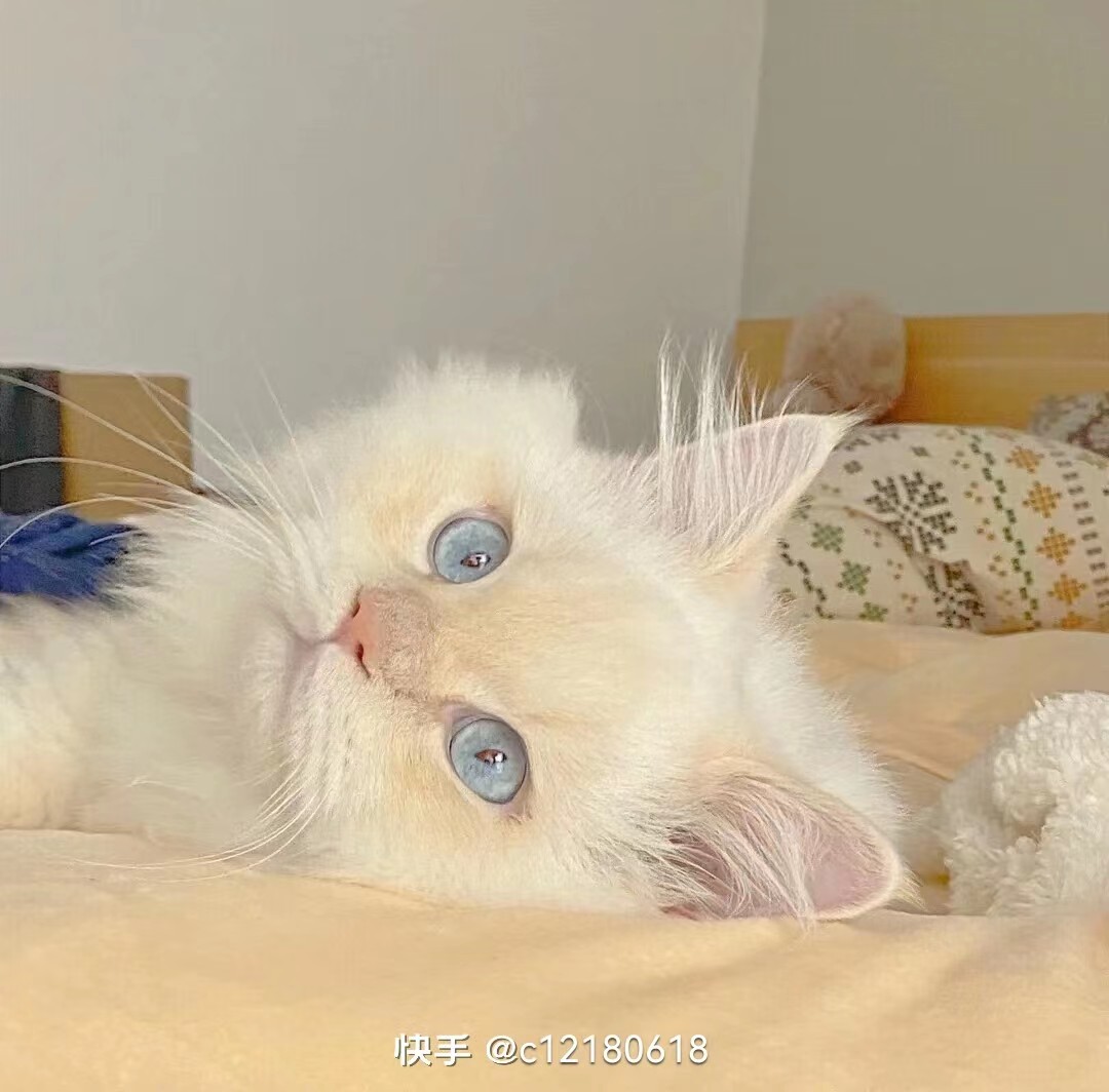 用户头像