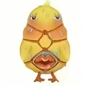 用户头像