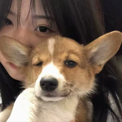 用户头像