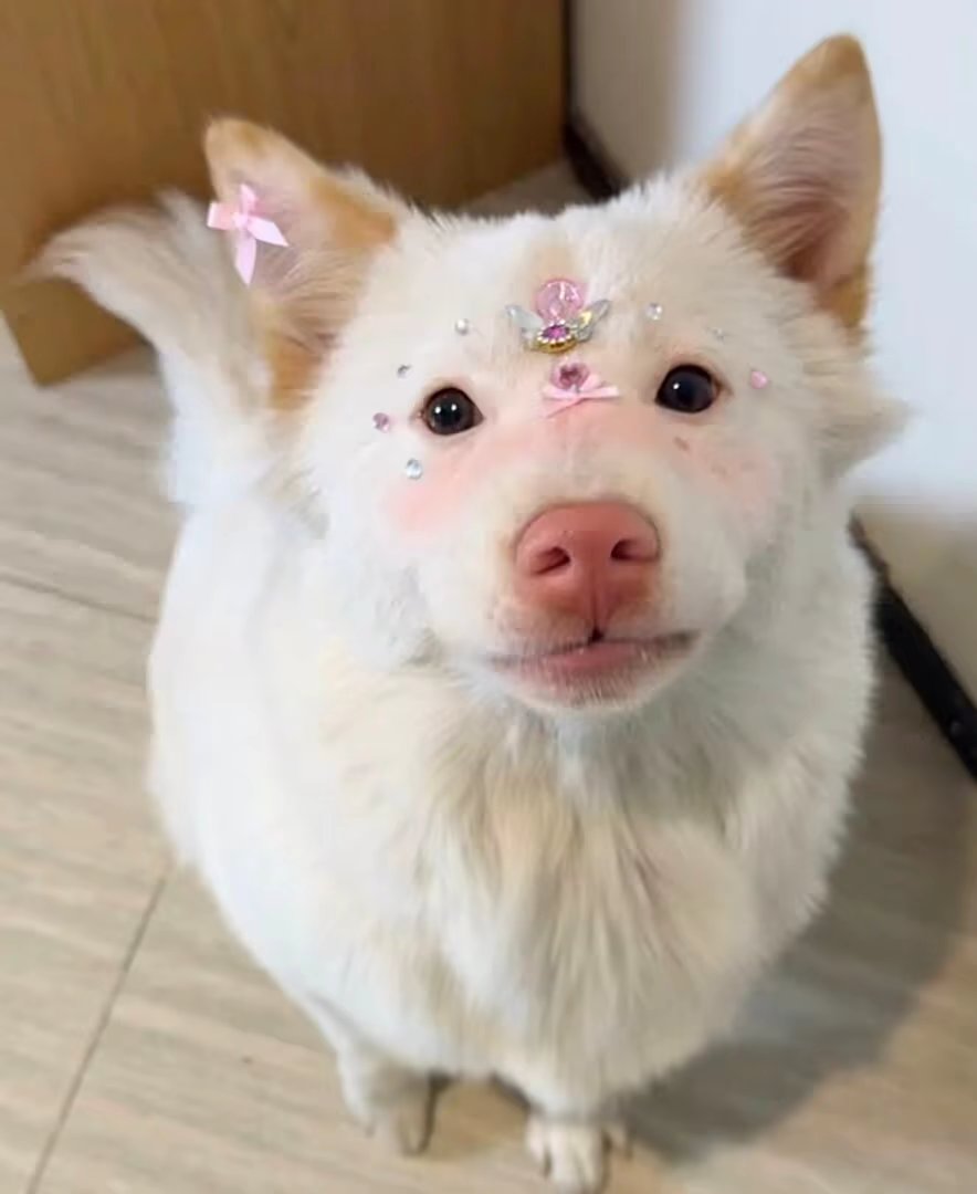 用户头像