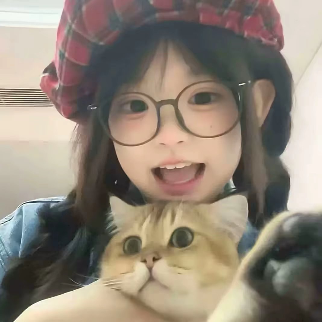 用户头像