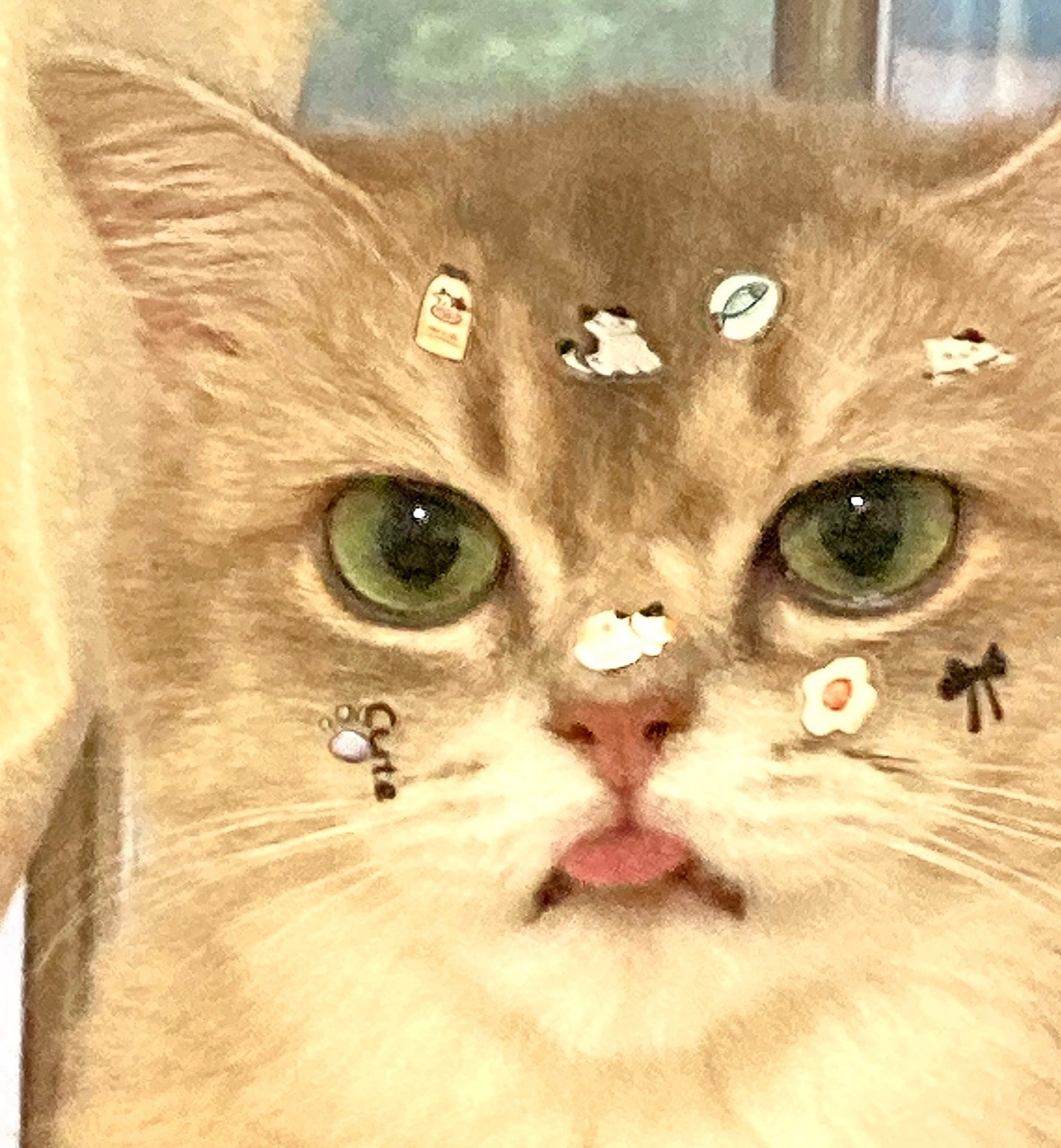 用户头像