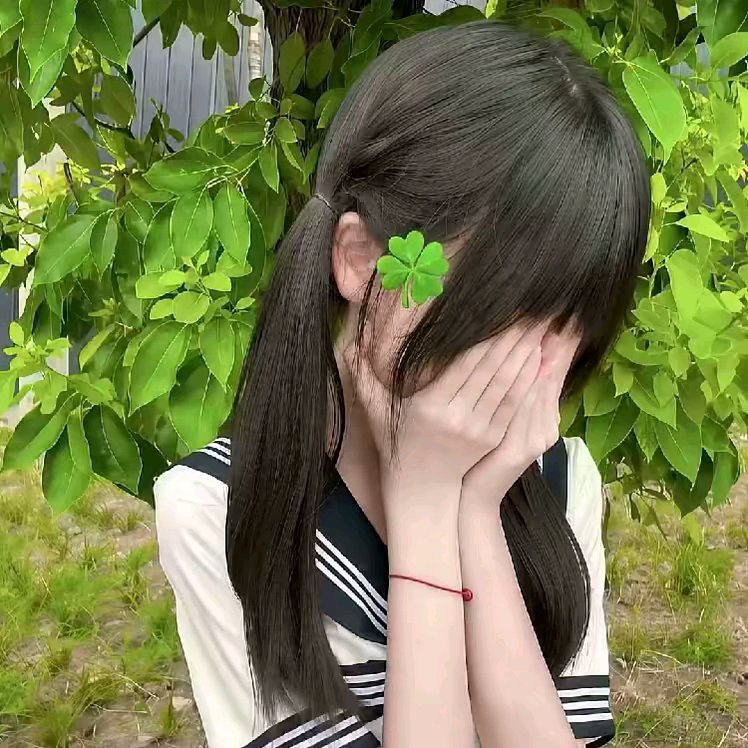 用户头像