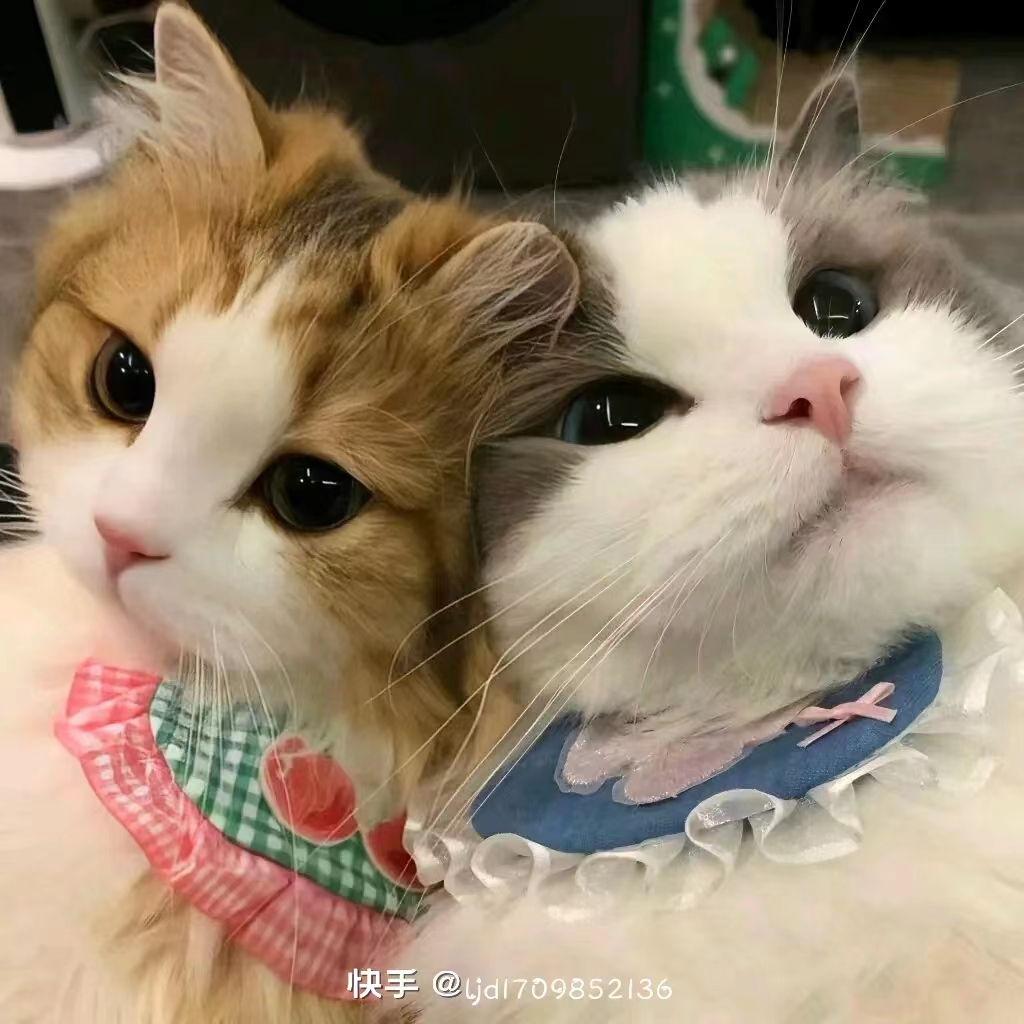 用户头像