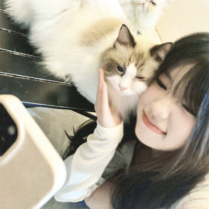 用户头像