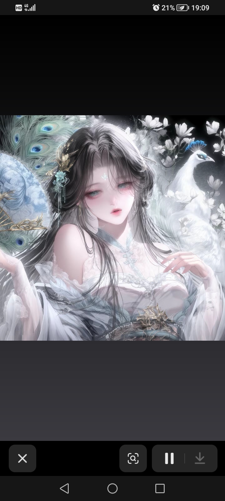 用户头像