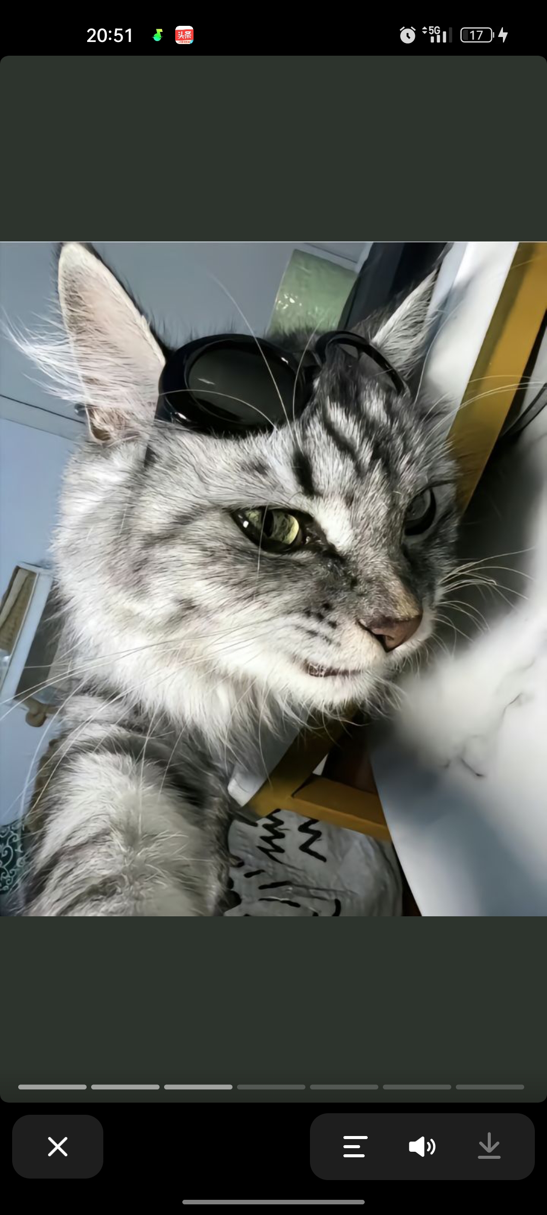 用户头像
