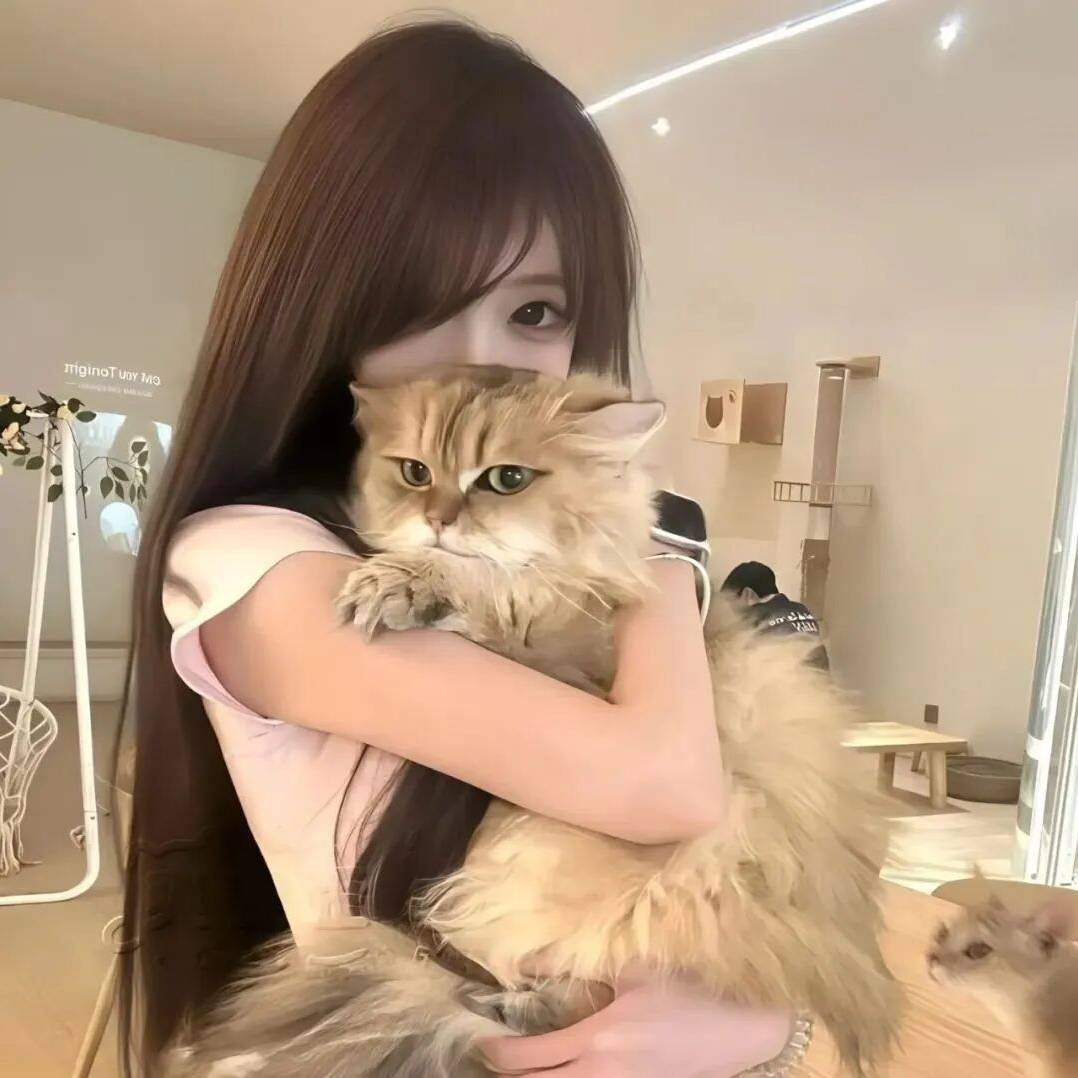 用户头像