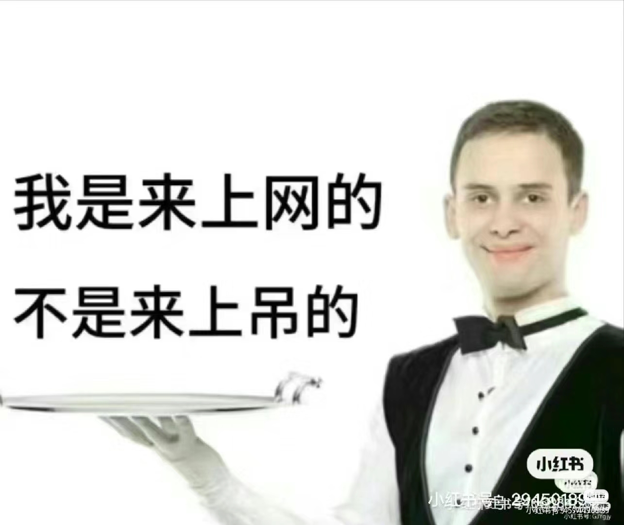 用户头像