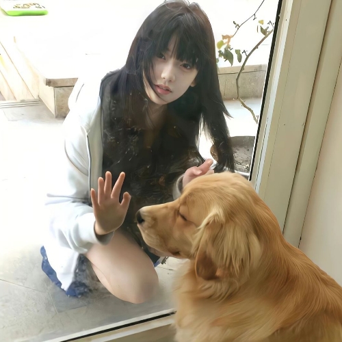 用户头像