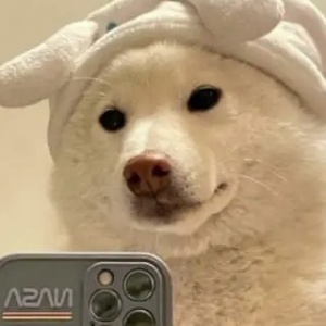 用户头像