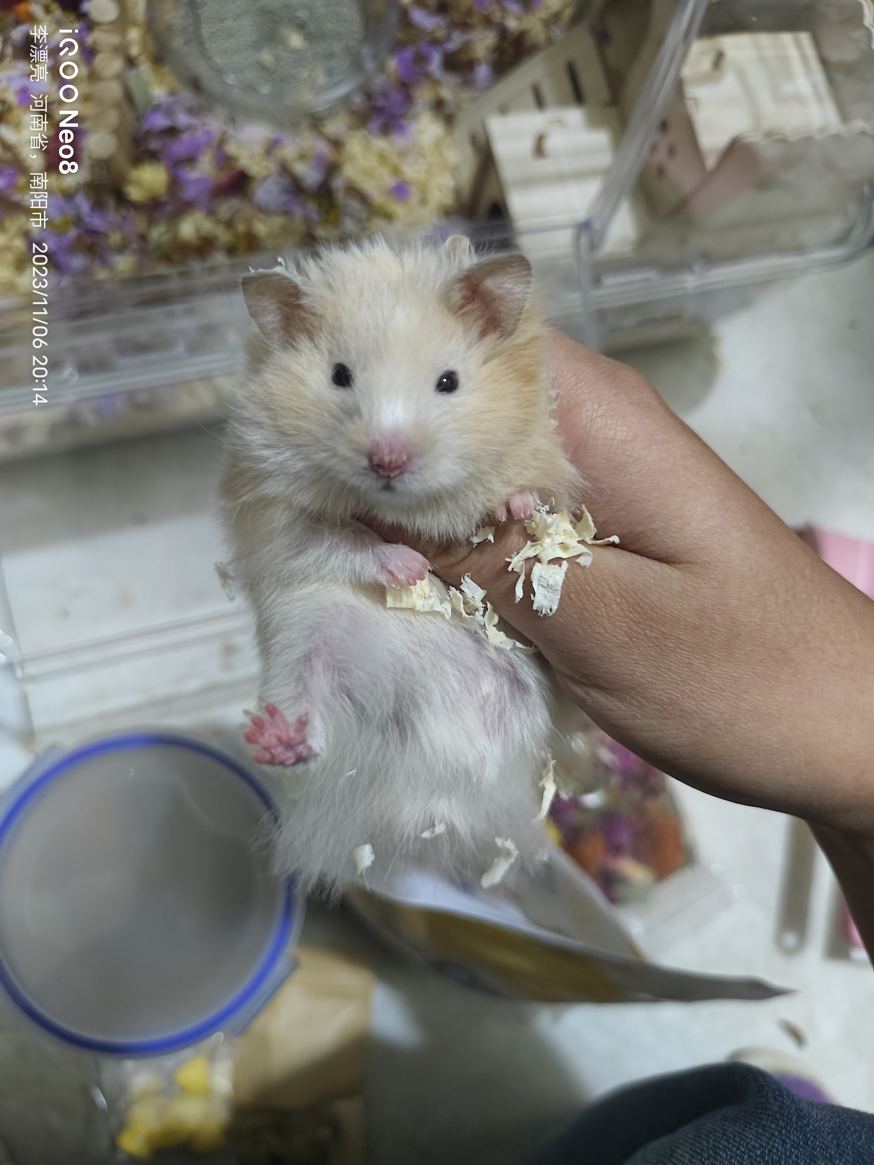用户头像