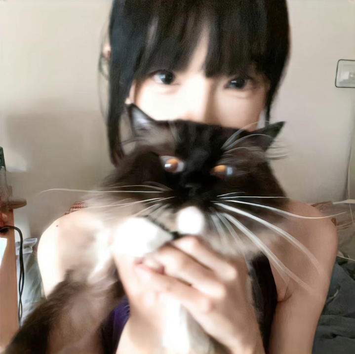 用户头像