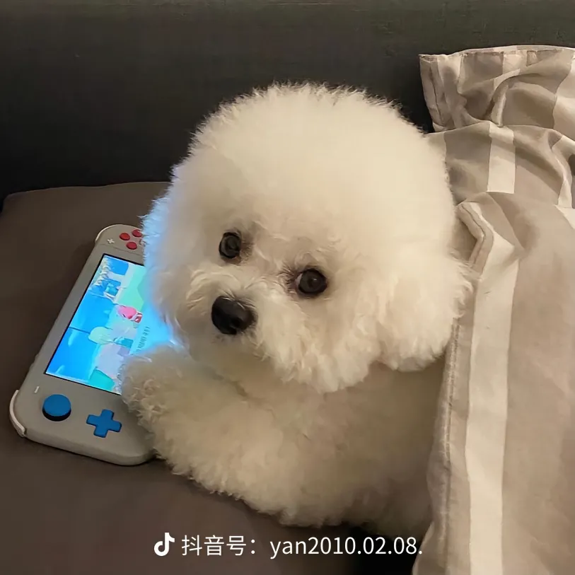 用户头像