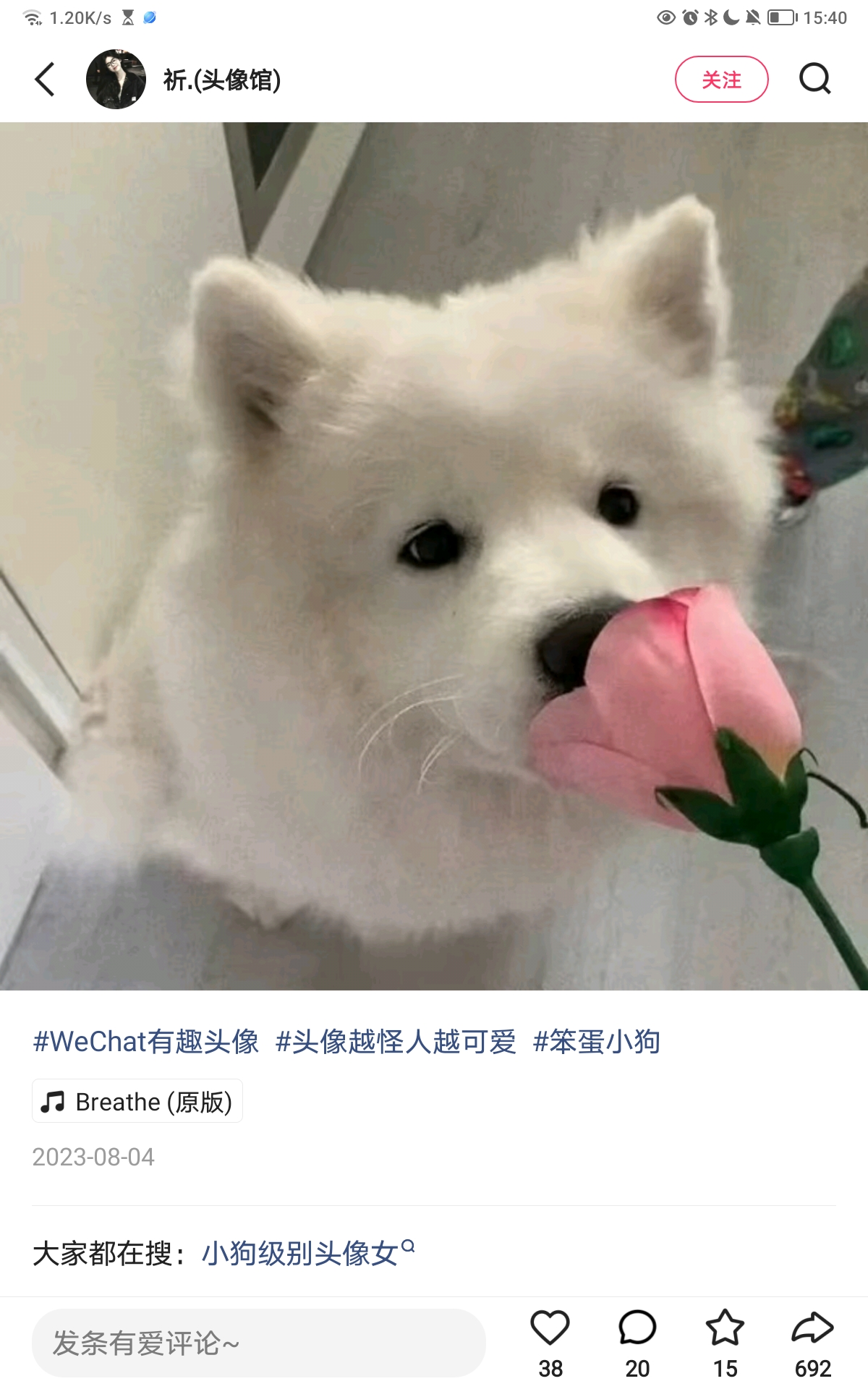 用户头像