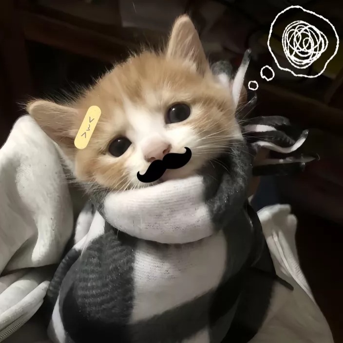 用户头像