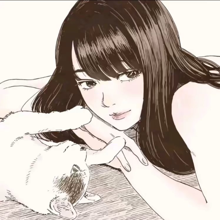 用户头像