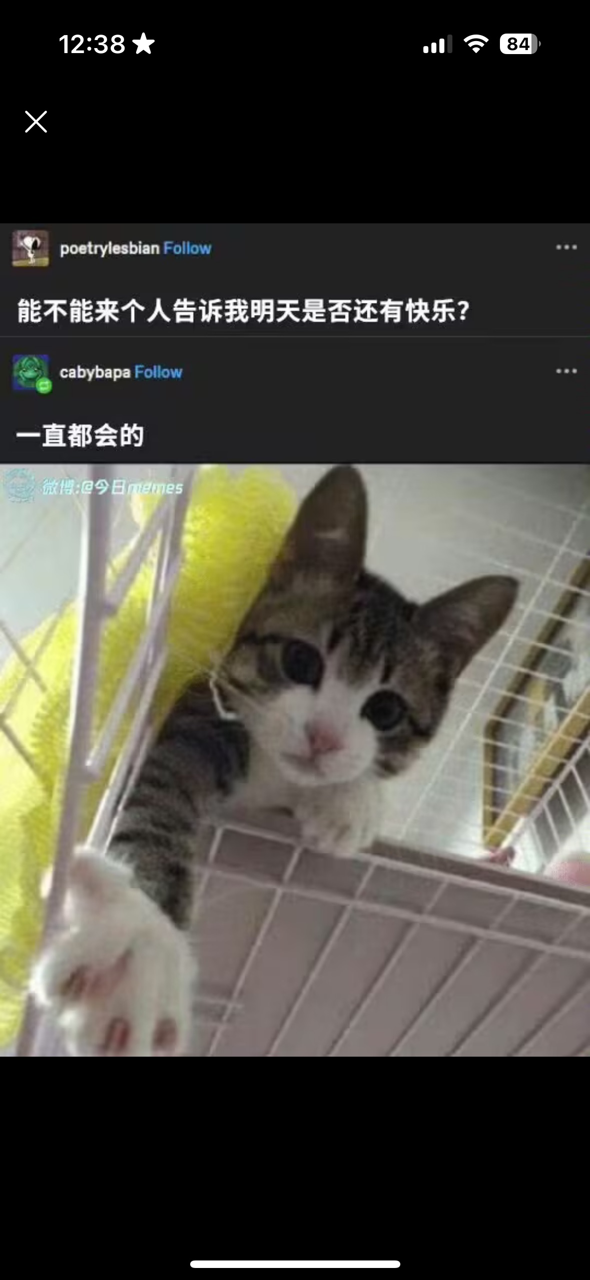 用户头像