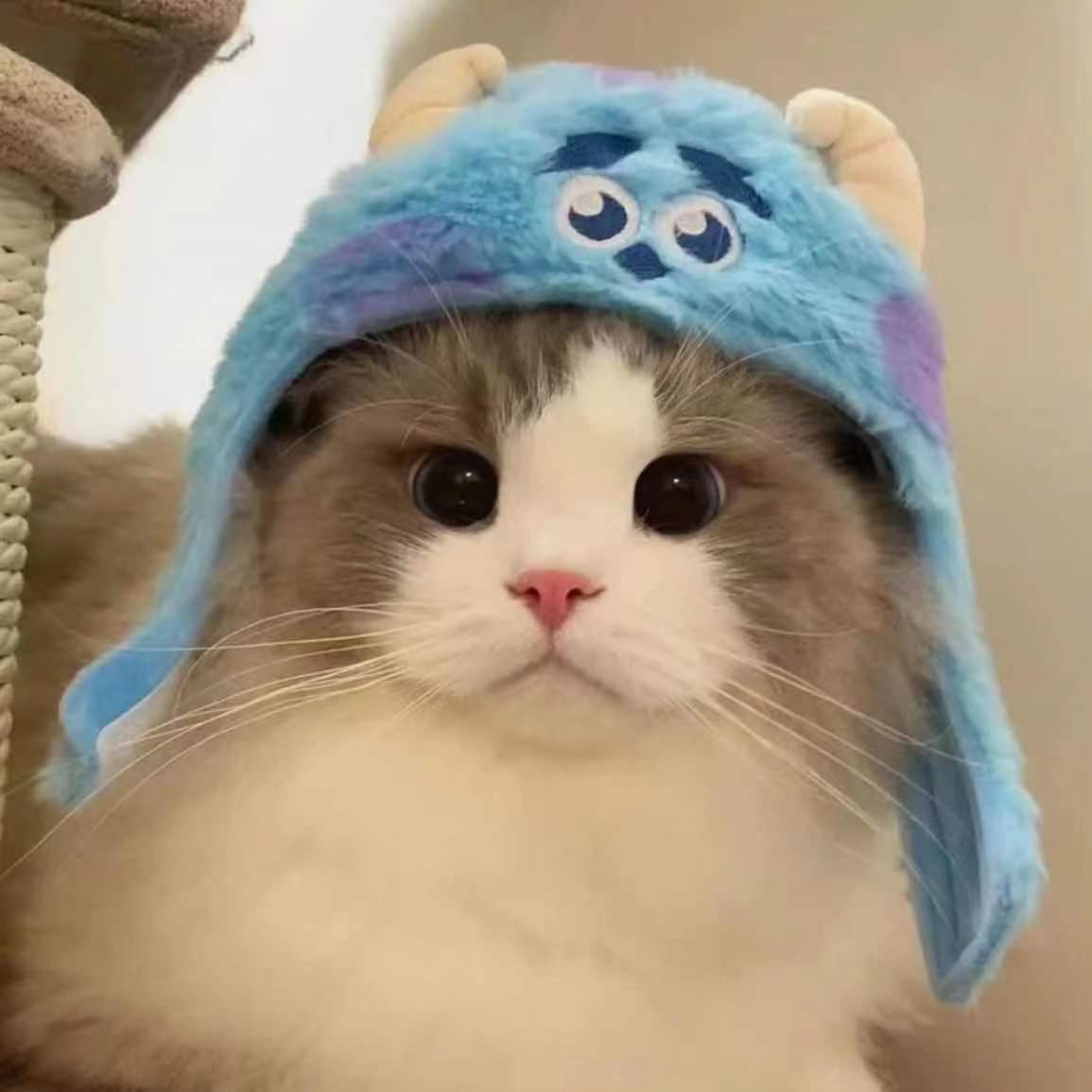 用户头像