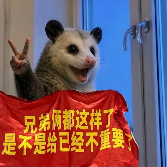 用户头像