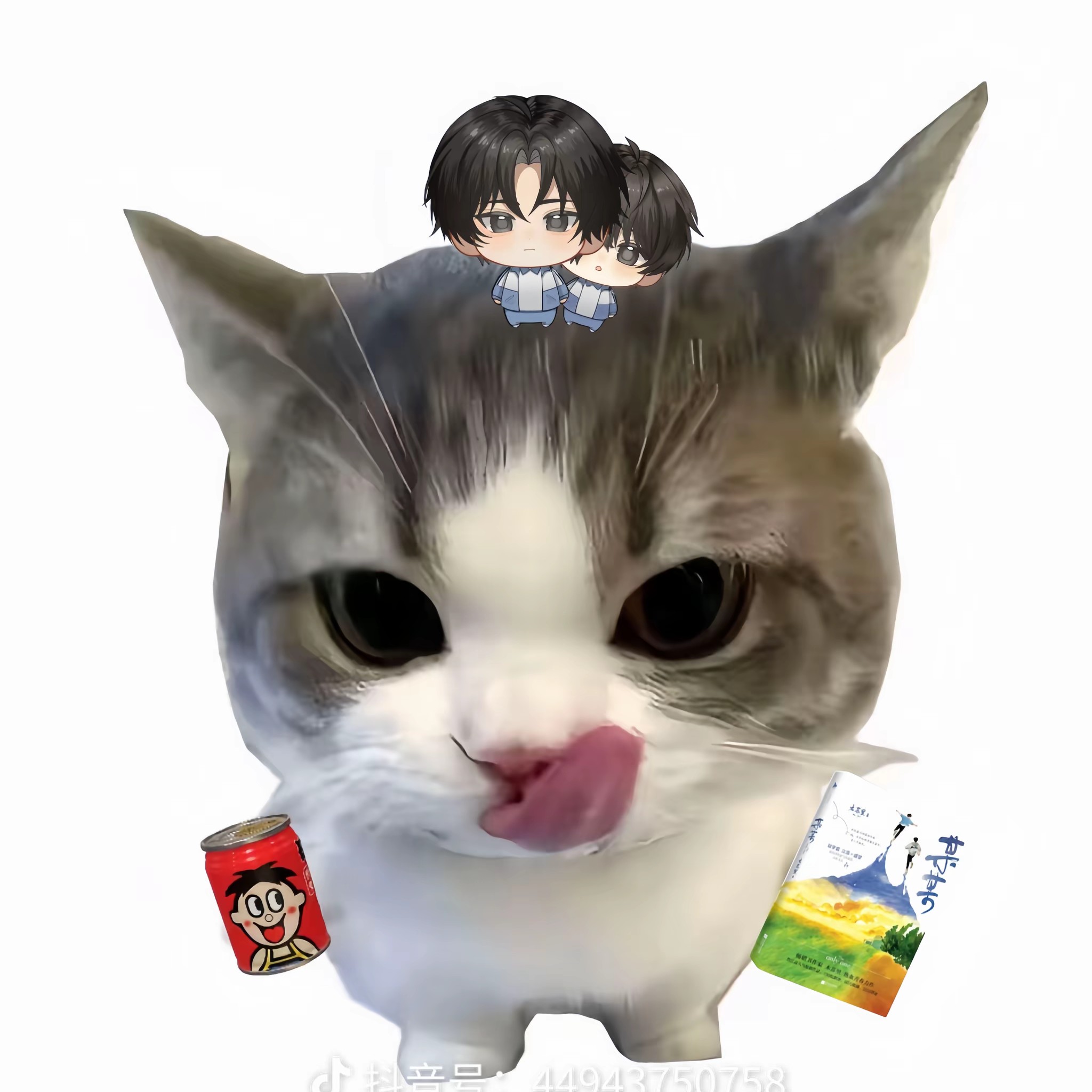用户头像
