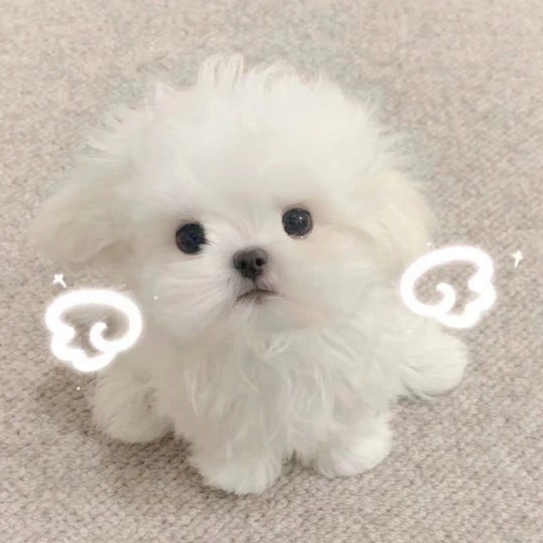 用户头像